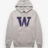 WASHINGTON HUSKIES IMPRINT '47 HEADLINE HOOD -47 507796 HR FF