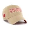WISCONSIN BADGERS DISTRICT '47 CLEAN UP