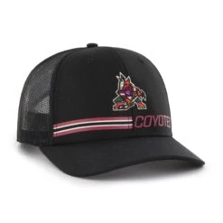 ARIZONA COYOTES RAILWAY '47 TRUCKER -47 H RLWAY21CTP BK HR F2