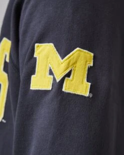 MICHIGAN WOLVERINES BANKS '47 HARRIS SCRIMMAGE 1/4 ZIP 13 MICHIGAN WOLVERINES BANKS '47 HARRIS SCRIMMAGE 1/4 ZIP -47 NCAA BANKS 47HARRIS 540120 D2